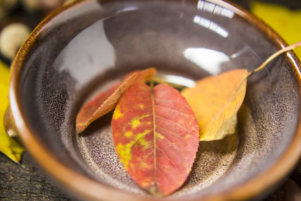 Autum bladeren in een pottenbakkerij — Stockfoto