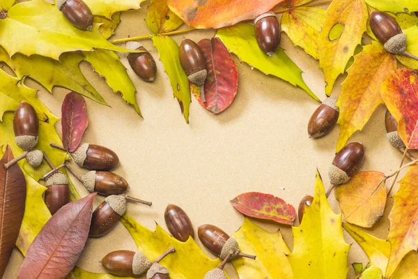 Acorn en herfst blad frame — Stockfoto