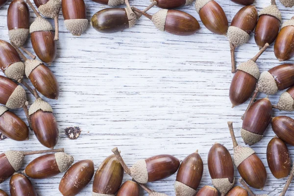 Frame gemaakt van acorns — Stockfoto