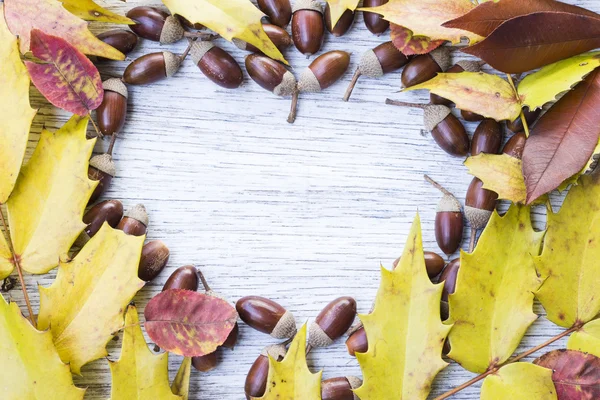 Hart vorm frame van acorns en Herfstbladeren — Stockfoto