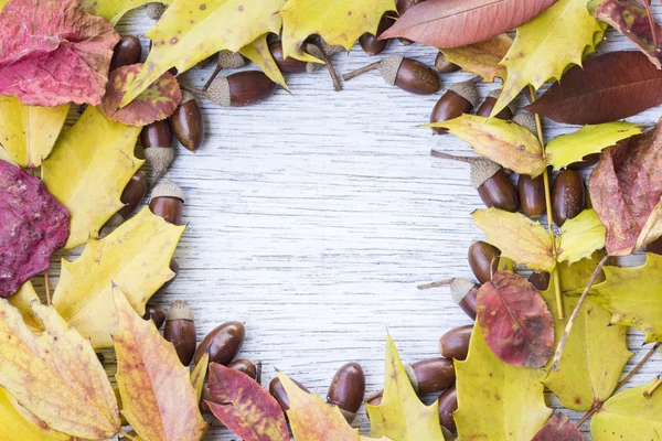 Circle fram of acorns and autumn leaves