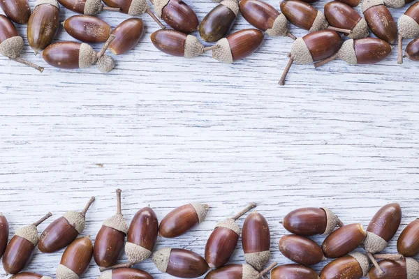 Acorn grenskader — Stockfoto