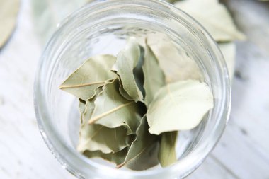 Dry herb bayleaf, Laurier in a glass jar