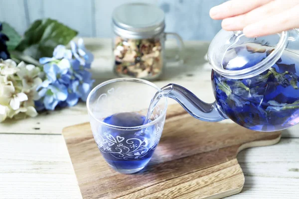 Poring bright blue butterfly pea flower herb tea to a glass from glass tea pot