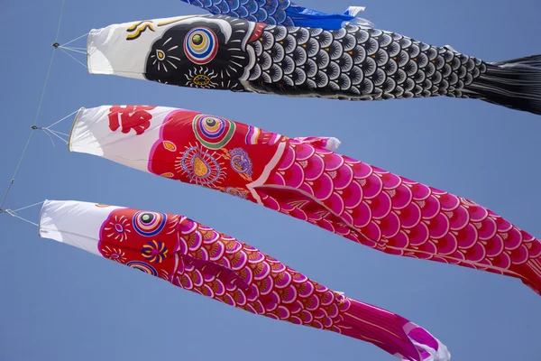 Carp streamer — Stock Photo, Image