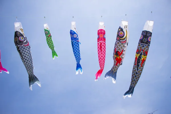 Carp streamer — Stock Photo, Image