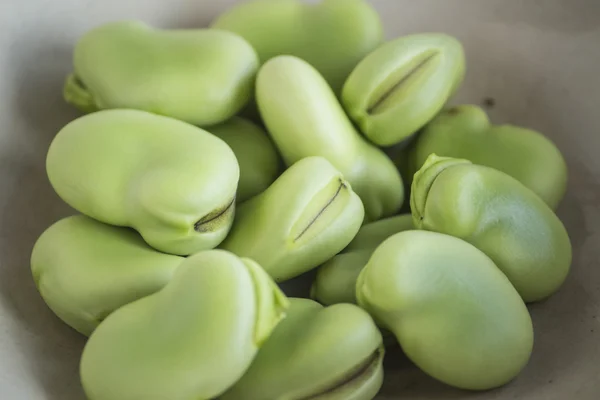 Broad beans — Stock Photo, Image