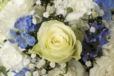 Beyaz ve mavi çiçek buketi