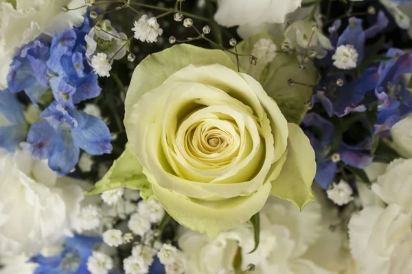 Bouquet de fleurs blanches et bleues — Photo