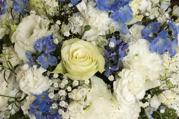 Белый и синий букет цветов — стоковое фото