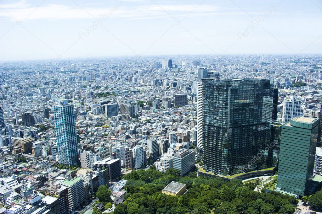 Tokyo City View