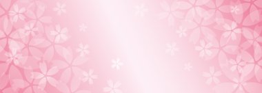 Kiraz çiçeği çiçek arka planda pembe