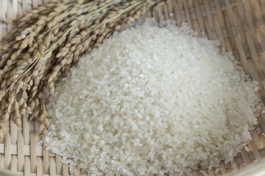 Rice and rice plants in a bamboo basket