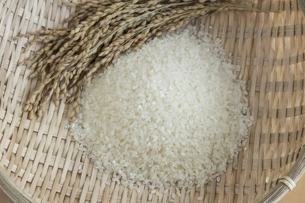 Arroz y plantas de arroz en una cesta de bambú — Foto de Stock