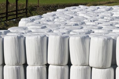 Kaydırılan bale silages