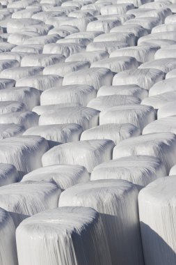 Kaydırılan bale silages