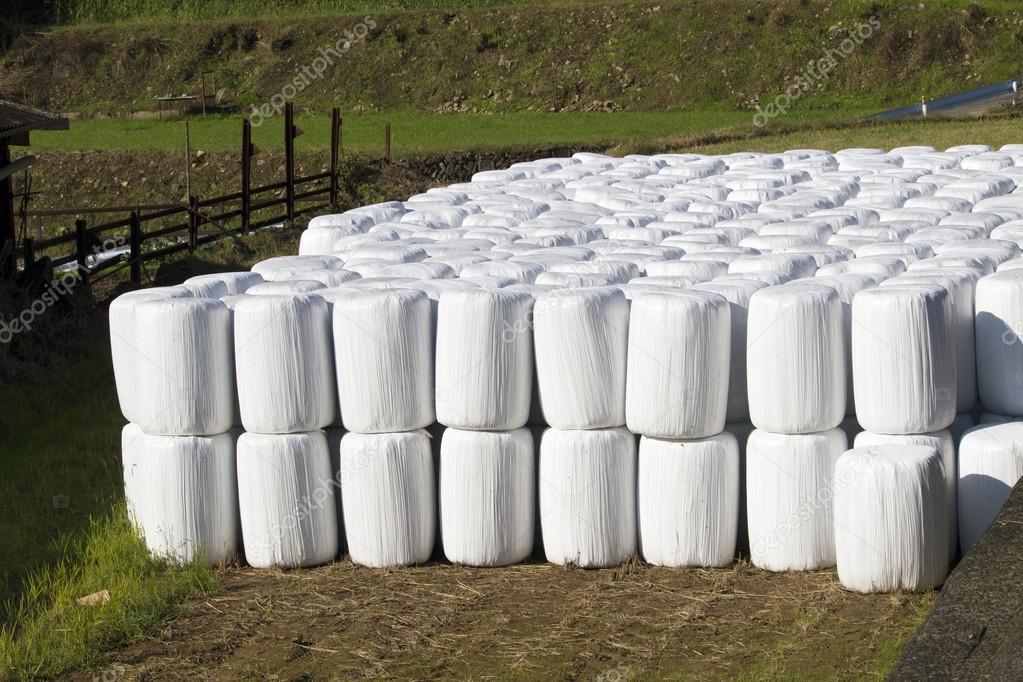 Wrapped bale silages