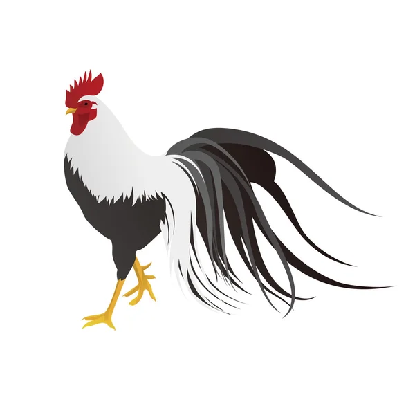 リアルな鶏図 — ストックベクタ