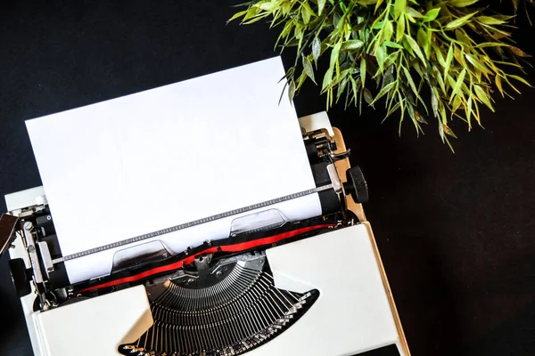 Typewriter with paper in it, artificial plant decoration and coffee cup on the dark background. Beautiful retro working space closeup. Empty space on paper to write down something