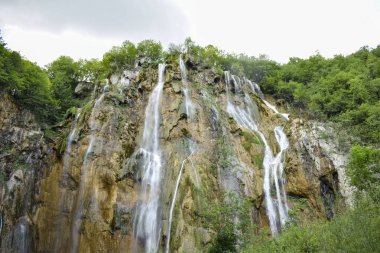 Bir sürü bitki ve su olan güzel bir manzara. Mavi göl suyu, su düşüyor, dağlar ve çimenler.