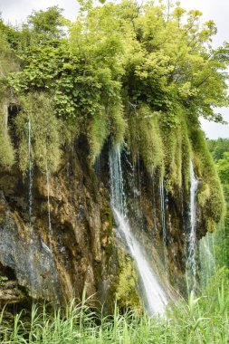 Bir sürü bitki ve su olan güzel bir manzara. Mavi göl suyu, su düşüyor, dağlar ve çimenler.