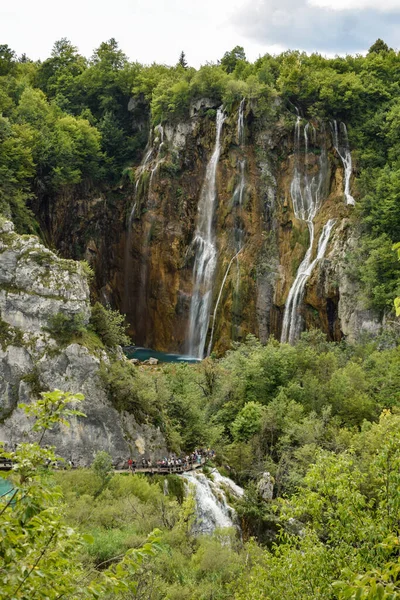 Bir sürü bitki ve su olan güzel bir manzara. Mavi göl suyu, su düşüyor, dağlar ve çimenler.