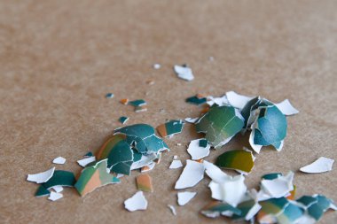 Tarafsız kahverengi ve beyaz arka planda ezilmiş Paskalya yumurtası parçaları. Kırık yumurta kabuğunu kapat. Mutlu Paskalyalar. Boş kopyalama alanı