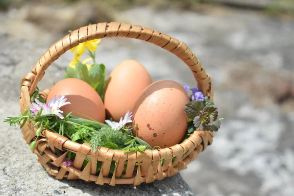 Traditional painted eggs in nest, wooden basket and neutral background with empty copy space. Eggs painted with plants, leafs, grass and flowers. Shiny natural colorful eggs on grass and nature.