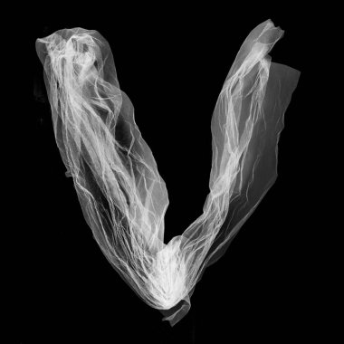 V harfi. Eşsiz fotoğraf alfabesi. Beyaz arkaplanda siyah dantel yazı tipi izole edildi. 