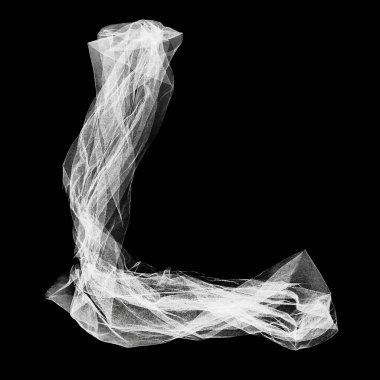 Eşsiz L harfi fotoğraf alfabesi. Beyaz arkaplanda siyah dantel yazı tipi izole edildi. 