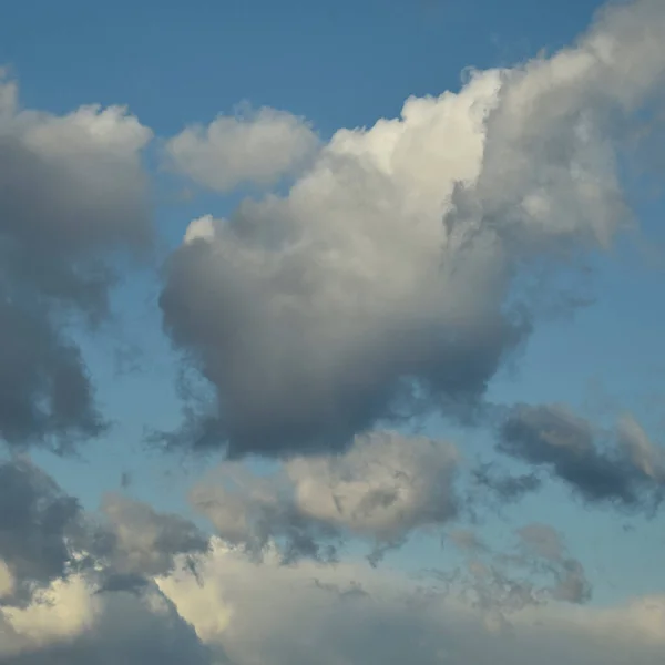 Vackert Kollage Olika Himmel — Stockfoto