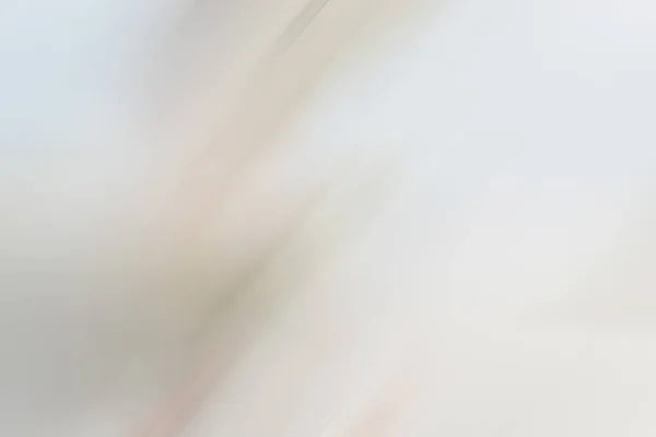 Красивые Абстрактные Пастельные Фон Радужными Волокнами Пустое Пространство Копирования — стоковое фото