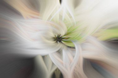 Gökkuşağı fiberleri boş kopya alanı olan güzel soyut pastel arkaplanlar