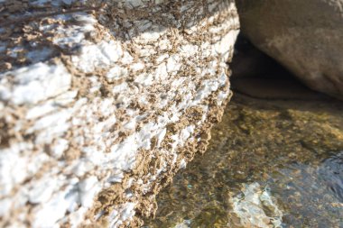 Kayalık kıyıları olan pürüzlü dağ nehri, nehrin kıyısında orijinal kaya konfigürasyonu, güzel turistik yerler..