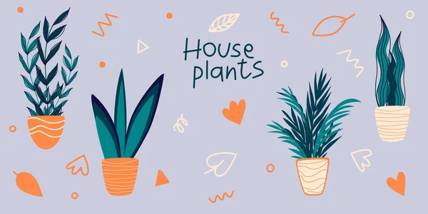 Ensemble Vectoriel Plantes Intérieur Dans Des Pots Style Scandinave Concept — Image vectorielle