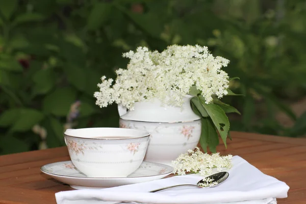 Čaj bezový květ — Stock fotografie