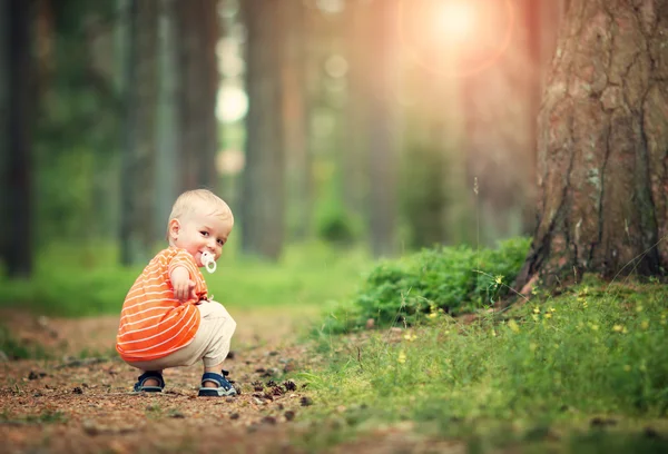 Glad liten pojke i skogen — Stockfoto