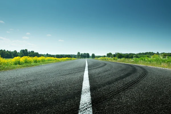 Güneşli bahar gününde yol görünümü — Stok fotoğraf