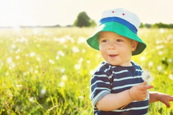 Малыш сидит в траве на фиалде с одуванчиками — стоковое фото