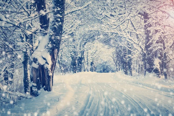 早上的冬季道路 — 图库照片