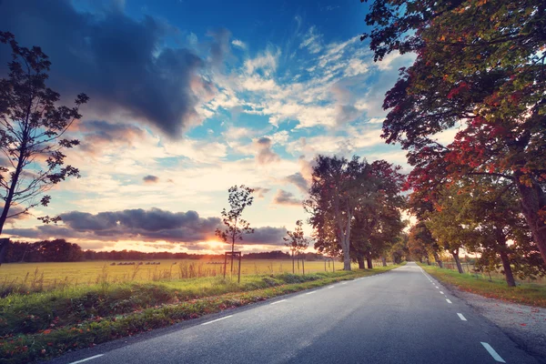 Alley in autumn — Stock Photo, Image