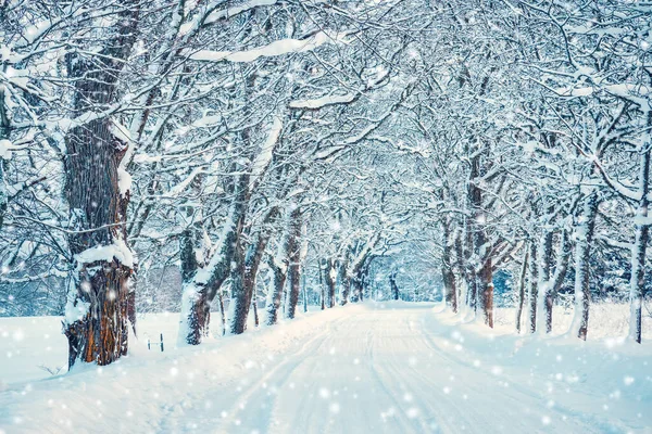 Beautiful Snowy Alley Beginning Winter Early Morning Snowfall — Stock Photo, Image