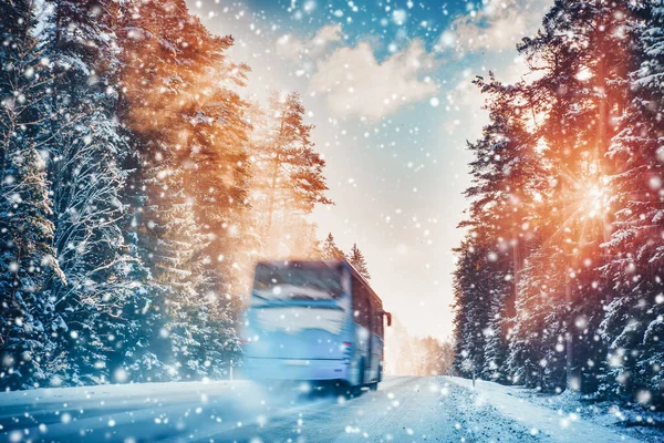 Bus Asphalt Road Beautiful Winter Day Countryside Snowfall Fairy Forest — Stock Photo, Image