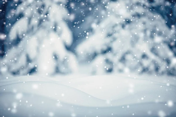 Bellissimo albero nel paesaggio invernale in tarda serata in nevicata. — Foto Stock