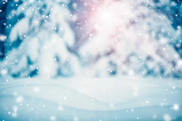 Vinter snöig bakgrund med träd i snöfall — Stockfoto