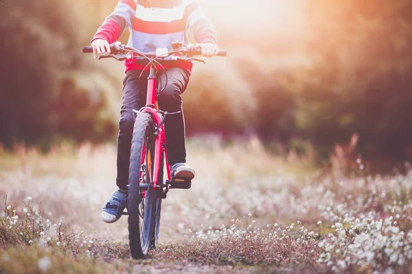 Kind op een fiets in het bos in de vroege ochtend — Stockfoto