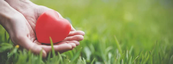 Donna mani tenendo forma di cuore rosso sullo sfondo erba verde. — Foto Stock