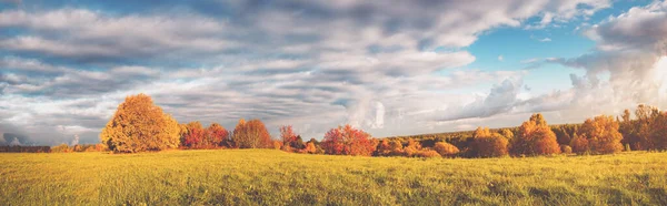Drzewa na polu jesienią — Zdjęcie stockowe