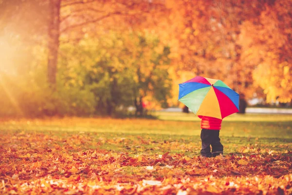 Niño de pie con paraguas en hermoso día otoñal — Foto de Stock