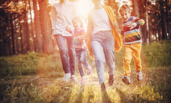 Счастливая семейная прогулка в летнем парке — стоковое фото